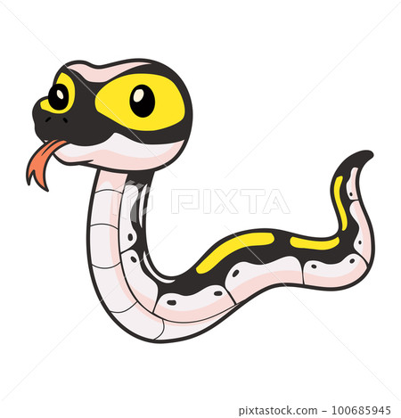 Cute super pastel yellow belly cartoon Cute super pastel yellow belly cartoon 100685945