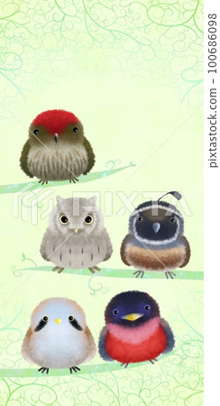 Fluffy bird background C-2 100686098