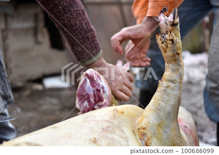 Slaughterman is cutting off the legs of the pig 100686099