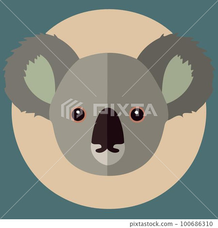 common koala herbivore mammal animal face 100686310