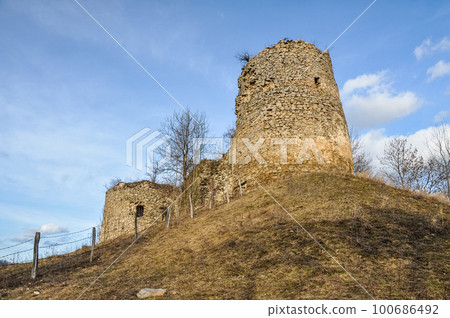 Abandoned ruins. Bologa fortress. Transylvania, Romania 100686492