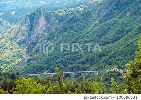 Tara canyon, Montenegro 100686531