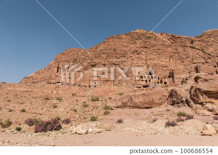 Royal tomb, Petra, Jordan 100686554