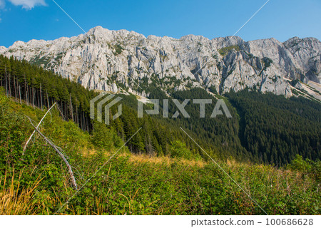 Limestone mountains. Southern Carpathians, Romania Limestone mountains. Southern Carpathians, Romania 100686628