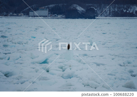 Scenery of Shiretoko #23 100688220