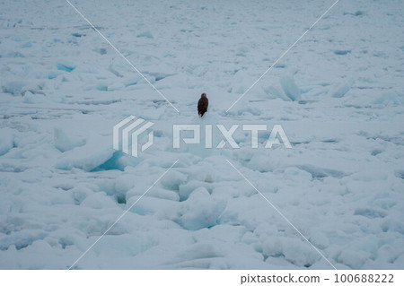 Scenery of Shiretoko #24 100688222