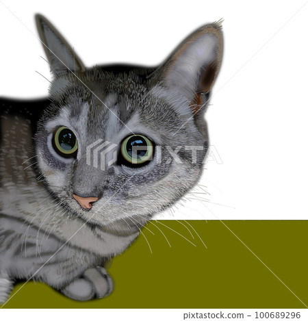 可愛的貓咪圖 100689296