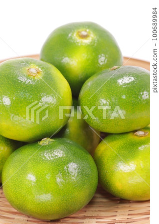 綠橘子,早瀨橘子,西浦,西伊豆,綠色,明亮的背景 綠橘子,早瀨橘子,西浦,西伊豆,綠色,明亮的背景 100689984