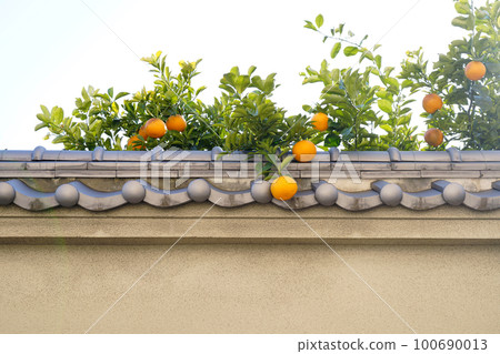 mandarin oranges and tiled wall mandarin oranges and tiled wall 100690013
