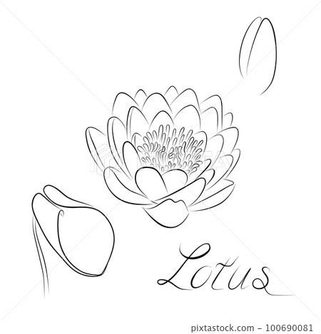 Continuous line drawing. line art lotus Vector Minimalistic mid-century design Continuous line drawing. line art lotus Vector Minimalistic mid-century design 100690081