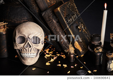 Realistic model of a human skull with teeth on a wooden dark table, black background. Medical science or Halloween horror concept. Close-up shot. 100690641