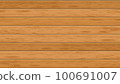 木紋 100691007