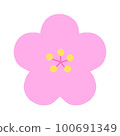 簡單的梅花開花圖 100691349