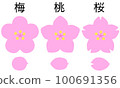 梅花、桃花、櫻桃花瓣差異對比圖 100691356