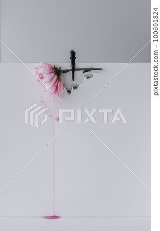 pink flower on white background, watercolour flows down pink flower on white background, watercolour flows down 100691824