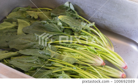 Image of reviving withered spinach by exposing it to water 100692089