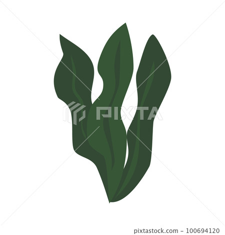 海藻的插圖 100694120