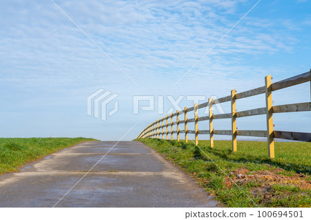Horse meadow with a road next to it 100694501