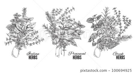 Set of hand drawn Italian, Provencal and Greek herbs bouquets sketch style 100694925