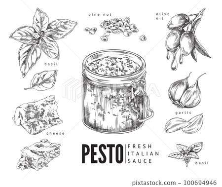 Italian pesto ingredients and pesto sauce in jar, vector illustration isolated. Italian pesto ingredients and pesto sauce in jar, vector illustration isolated. 100694946