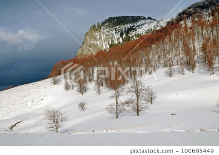 Snow covered mountain 100695449