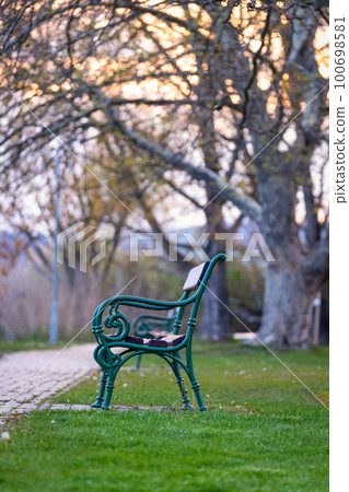 Empty bench in the autumn park in village Szigliget of Hungary. 100698581