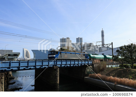 Cargo train crossing the iron bridge 100698874