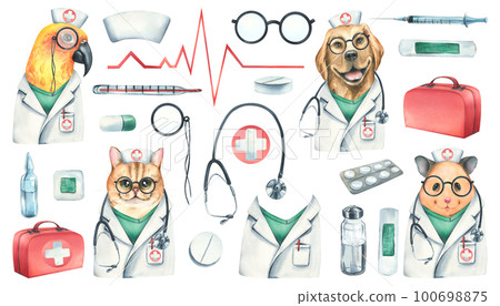 Medical set with animal doctors cat, dog, parrot and hamster. Watercolor illustration. Isolated objects from the VETERINARY collection. For the design and design of clinics, hospitals, pharmacies 100698875