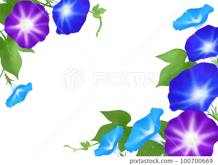 morning glory frame 100700669