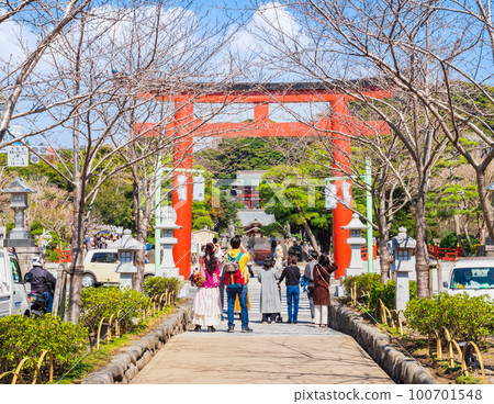 Kamakura Tsurugaoka Hachimangu Shrine 100701548