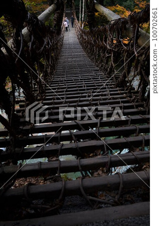 Iya Kazura Bridge 100702661