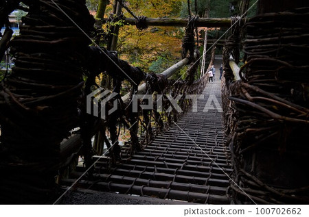 Iya Kazura Bridge 100702662