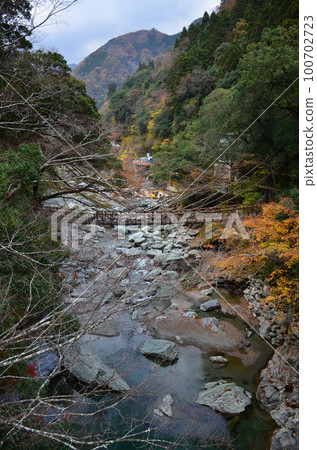 Iya Kazura Bridge 100702723