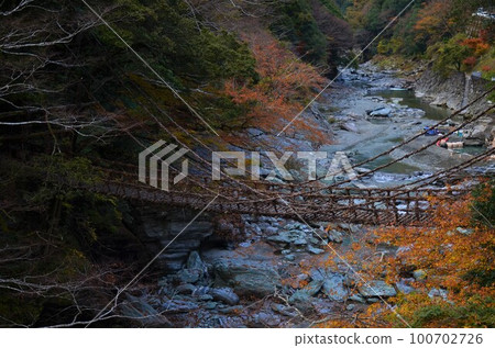 Iya Kazura Bridge 100702726