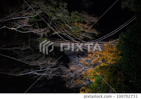 Iya Kazura Bridge 100702731