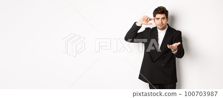 Portrait of confused handsome businessman scolding employee, pointing at head and camera, standing disappointed over white background Portrait of confused handsome businessman scolding employee, pointing at head and camera, standing disappointed over white background 100703987