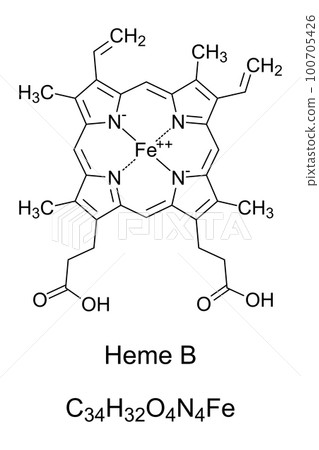 Heme B, haem B, or protoheme IX, chemical formula and structure. Contained in hemoglobin, a protein for oxygen transport. A single iron atom is bound by four nitrogen atoms in a plane porphyrin ring. 100705426