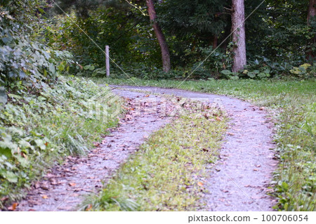 The road leading to Kuguri Falls, which turns left with grass growing in the middle The road leading to Kuguri Falls, which turns left with grass growing in the middle 100706054