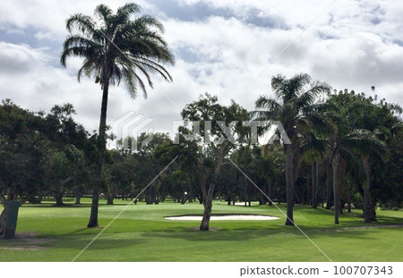 Golf course in Tropical country 100707343
