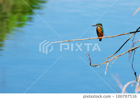 Daily life on the river Daily life on the river 100707516