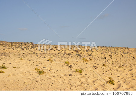 Desert and a blue sky, Fuerteventura 100707993