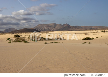 Desert and mountail, Corralejo, Fuerteventura 100708053