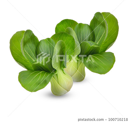 Pak Choi isolated on white background Pak Choi isolated on white background 100710218