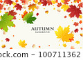 Autumn falling leaves background Vector template. Leaf vector 100711362