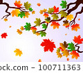 Autumn leaves of maple tree and blue sky background. Tree vector collection 100711363