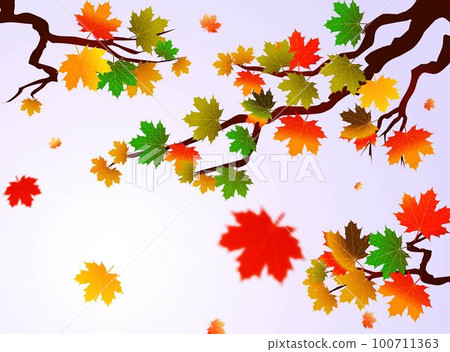 Autumn leaves of maple tree and blue sky background. Tree vector collection 100711363