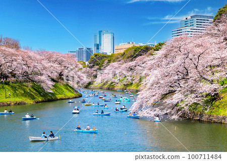 櫻花在東京Chidorigafuchi 櫻花在東京Chidorigafuchi 100711484