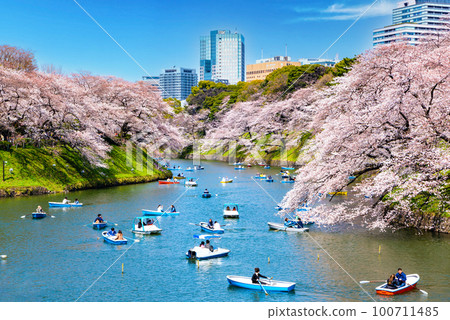 櫻花在東京Chidorigafuchi 100711485