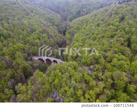 areial view of an old suspension bridge in forest Germany. areial view of an old suspension bridge in forest Germany. 100711548