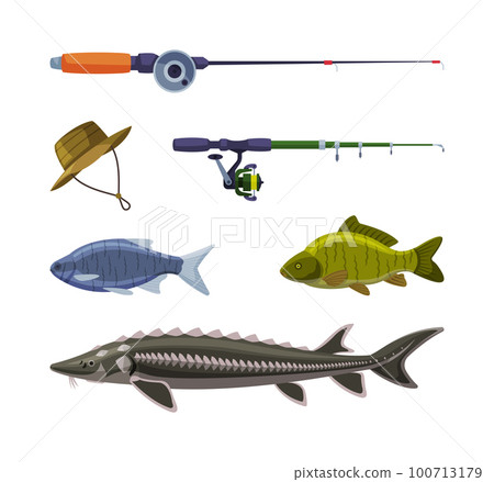 Fishing Equipment Set, Freshwater Fishes, - Stock Illustration